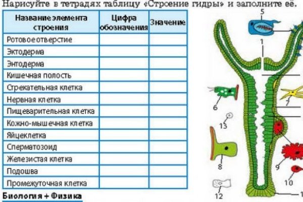 Kraken оригинальная ссылка