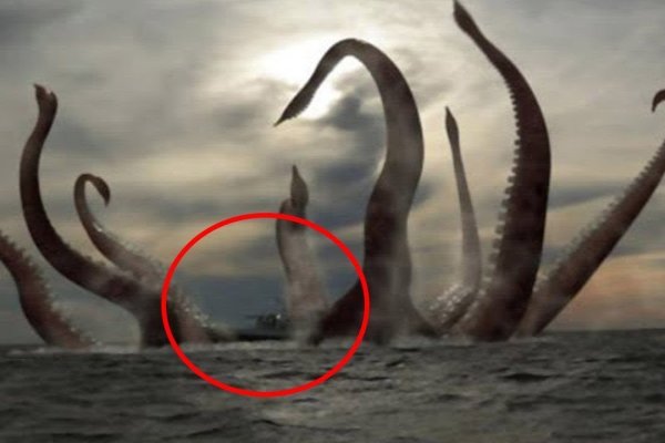 Kraken зеркала gigageek ru