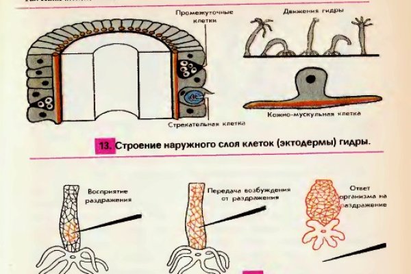 Кракен маркет только через тор